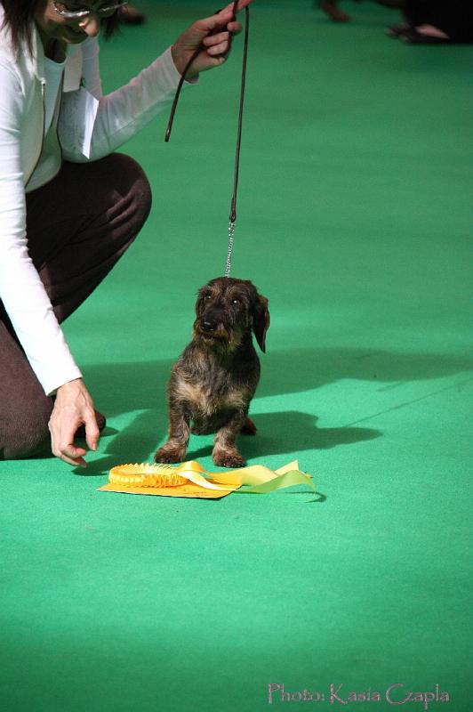 Crufts2011_2 712.jpg